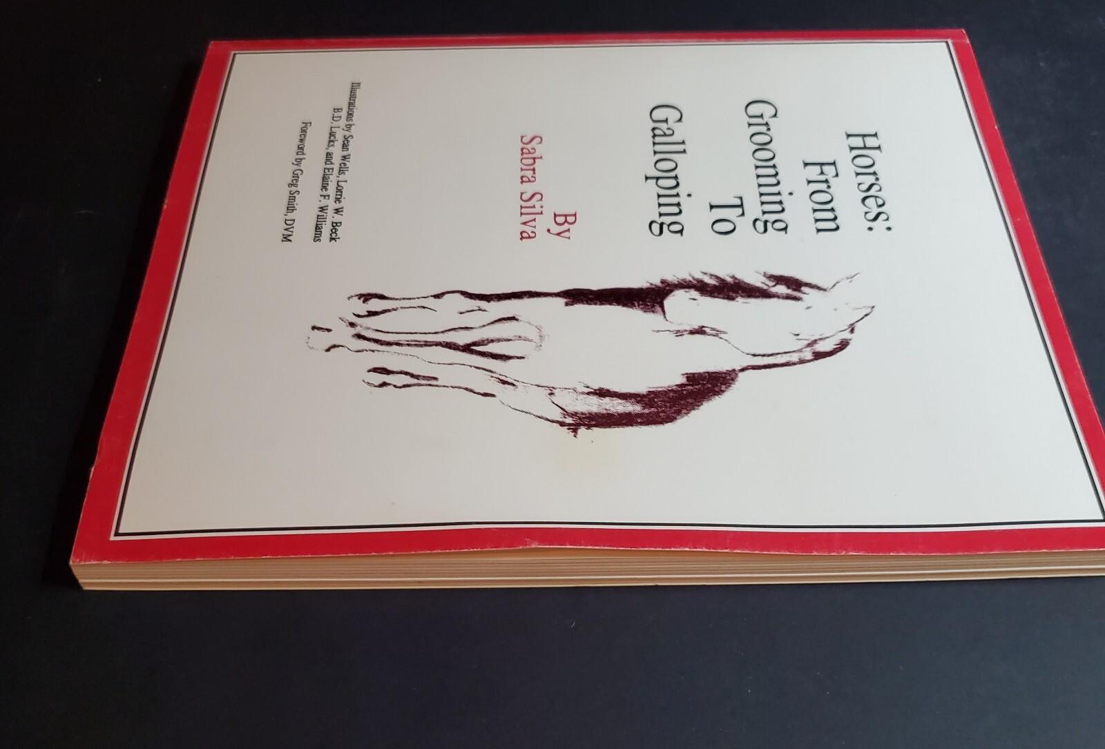 Horses : From Grooming to Galloping by Sabra Silva (1990, Trade Paperback)