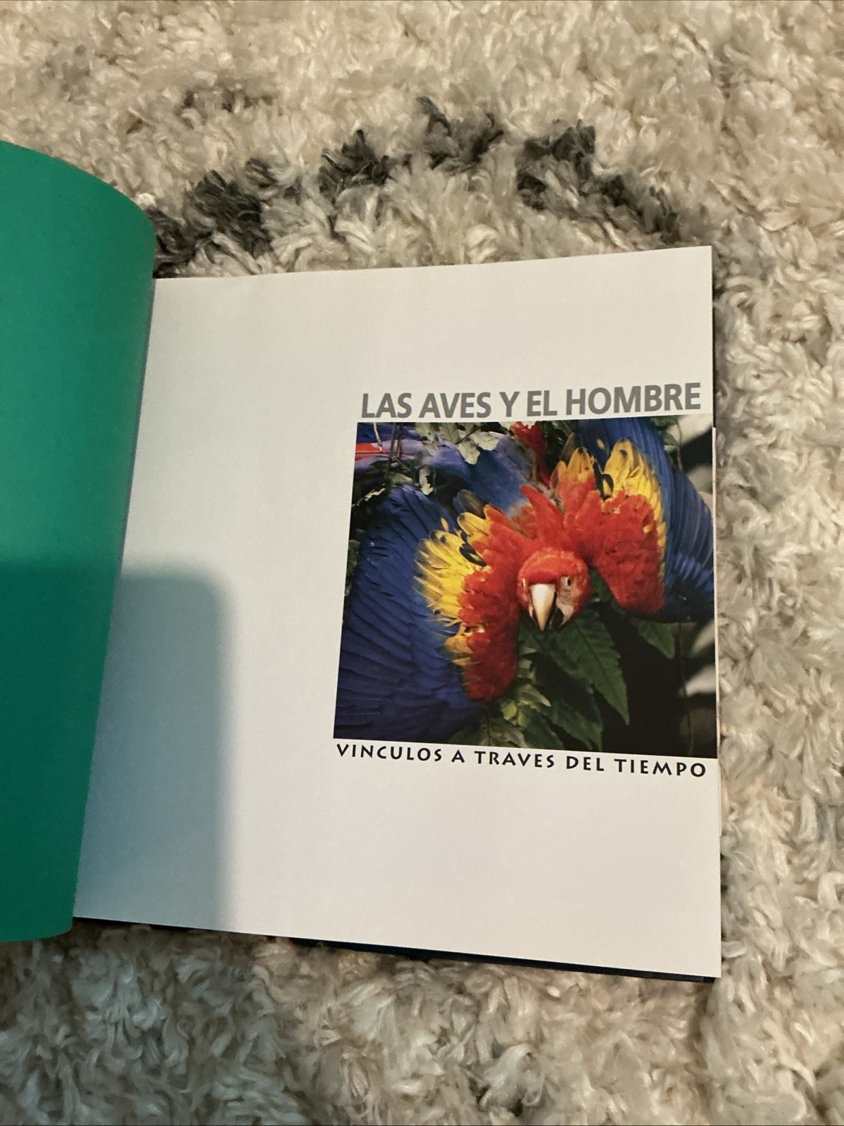 La Avery El Hombre Vinculos A Traverse Del Tiempo The Wild Foundation H/C Book