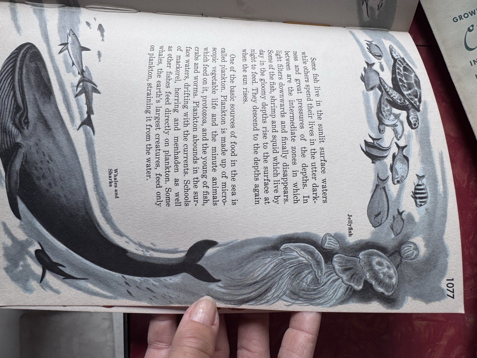 Standard Treasury Of Learning With Funk And Wagnalls vol 12 Rivers Sea 1960 VGC