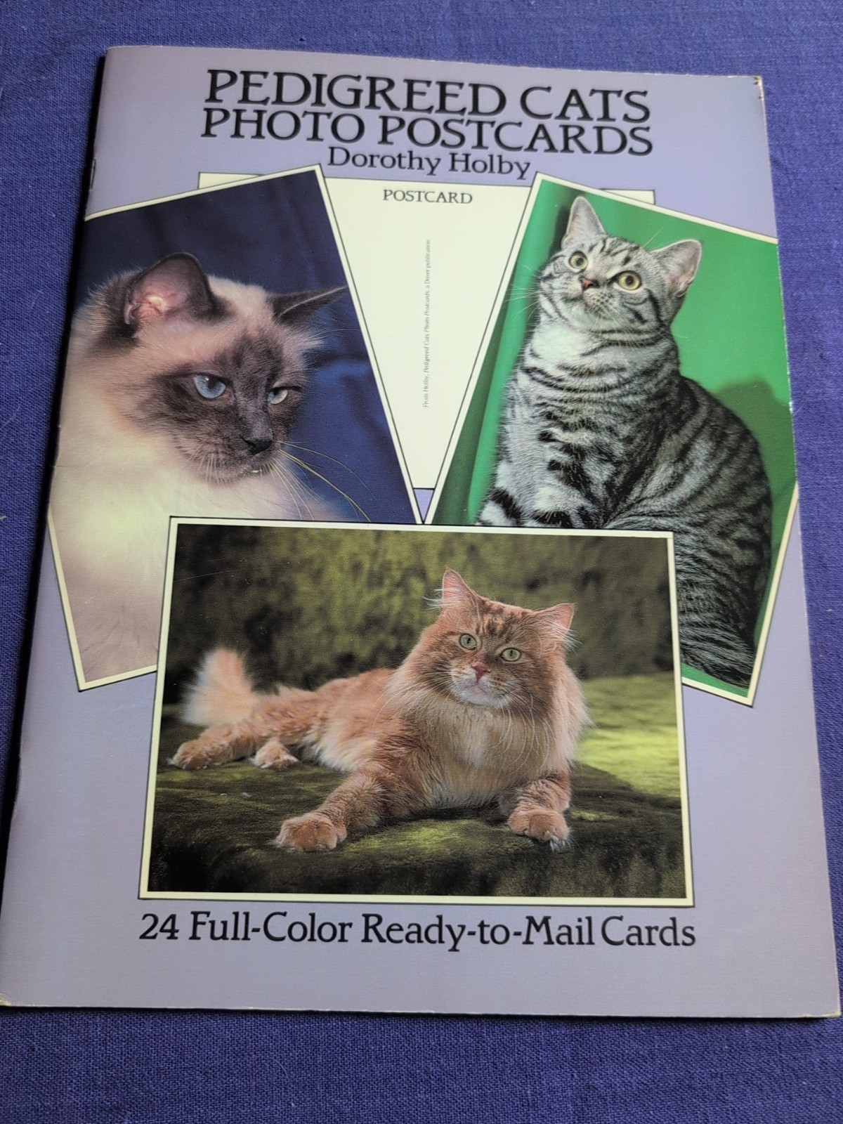PEDIGREED CATS PHOTO POSTCARDS: 24 FULL-COLOR By Dorothy Holby **Excellent**