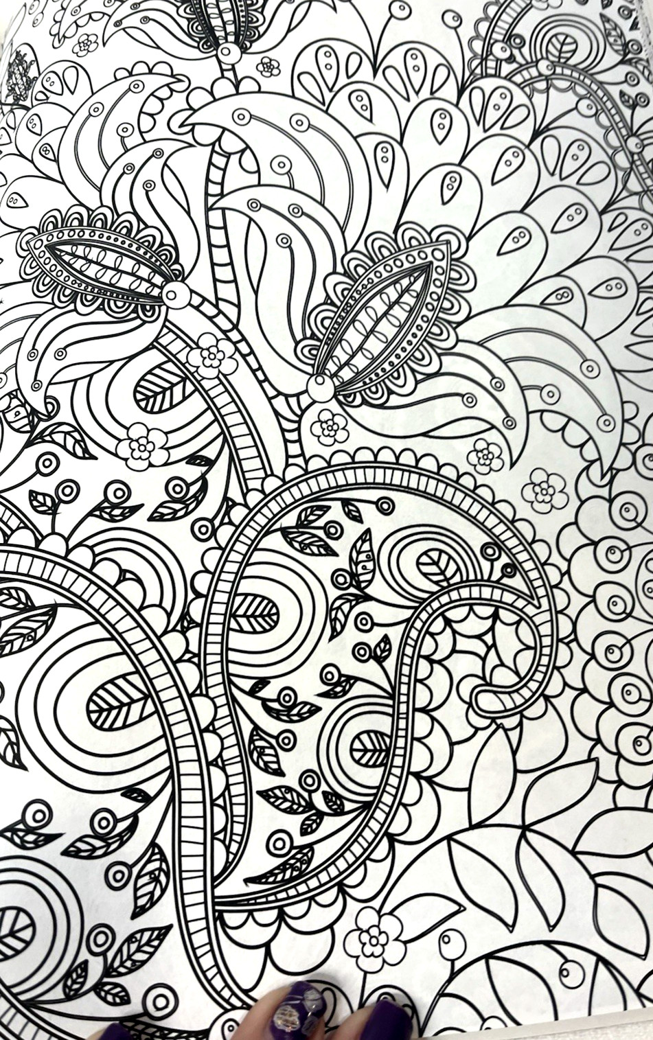 Paisley’s Coloring Book for Artists/Stress Relieving Skyhorse Publishing