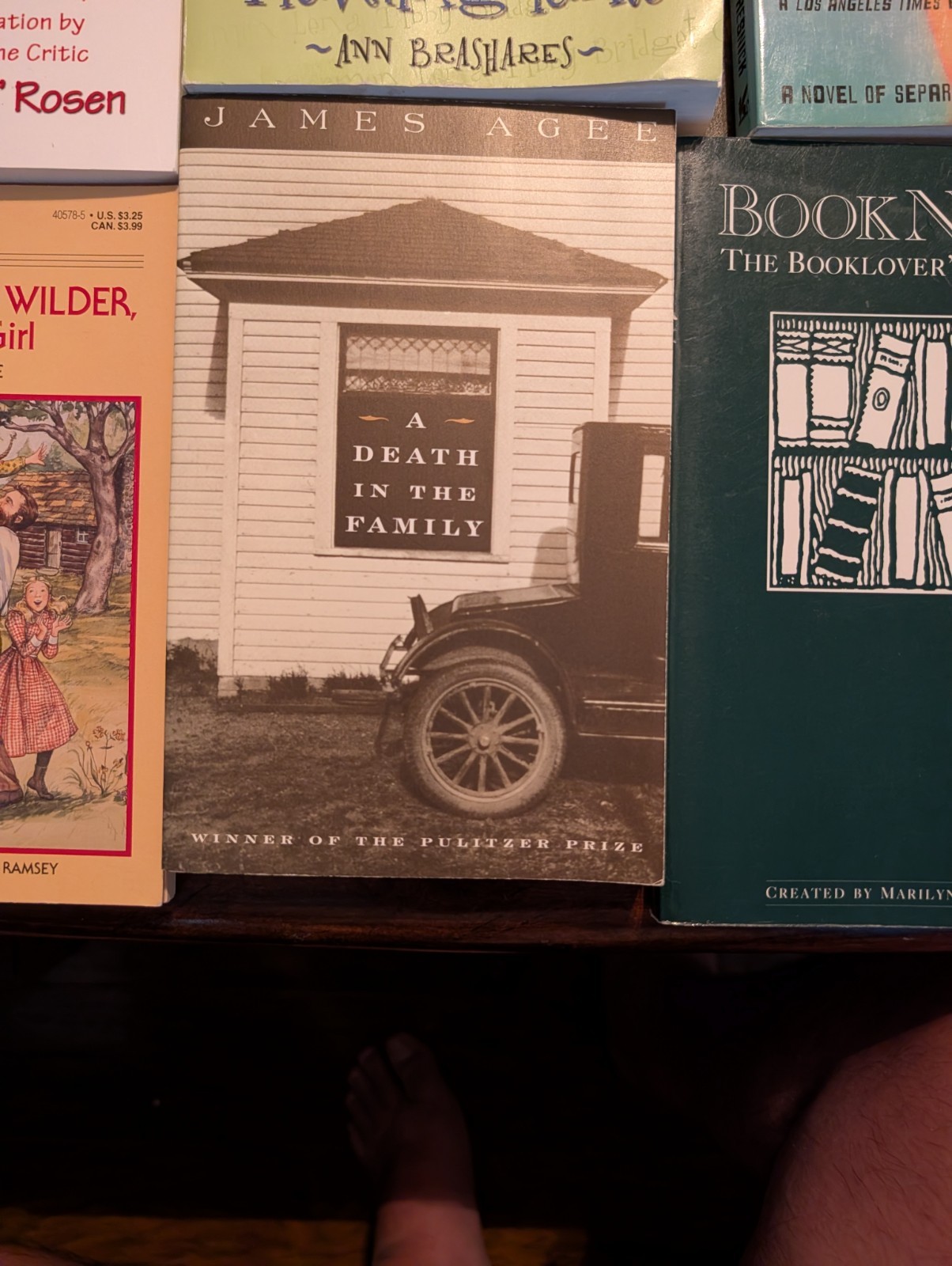 Title: Lot of 10 Paperback Books Mixed Fiction Literary Classics Vintage Bundle
