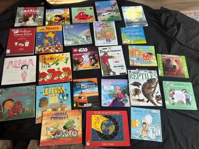 48 SPANISH CHILDREN PICTURE BOOK LOT teacher set kids K 1 2 3 Award fiction