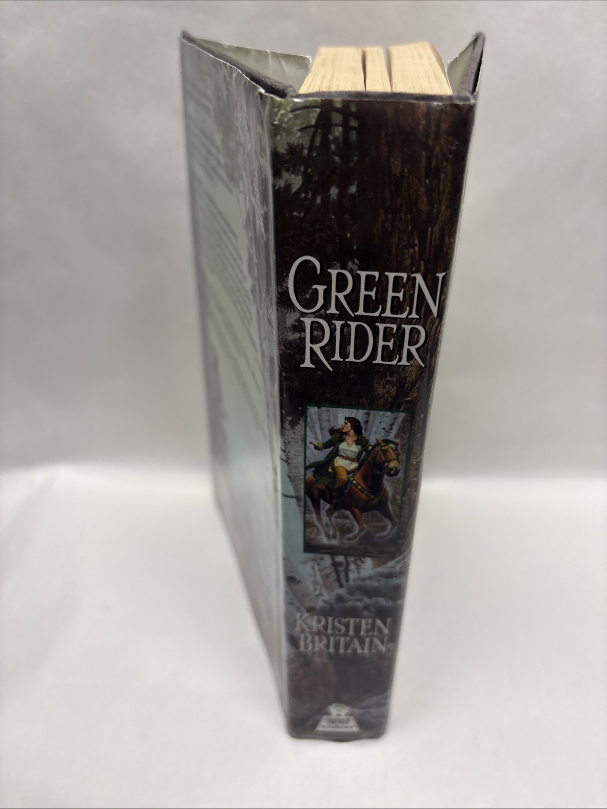 Green Rider (Green Rider Trilogy Book 1) by Kristen Britai/Hardcover.