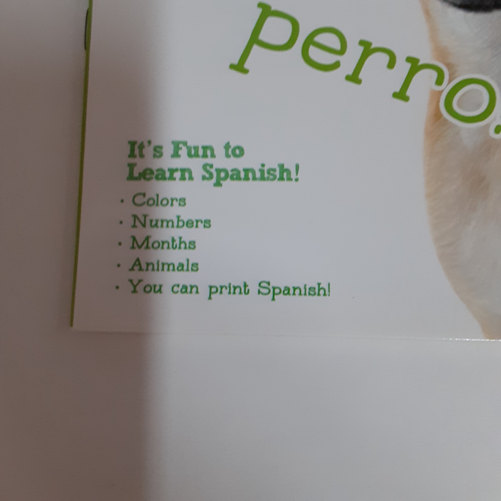 Early Spanish Workbook Grade 1-3 32 Pages