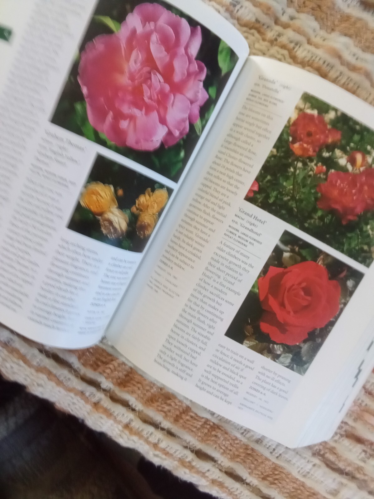 Botanica’s Pocket Roses: Over 1000 pages and 2000 roses listed (2001,Pb)