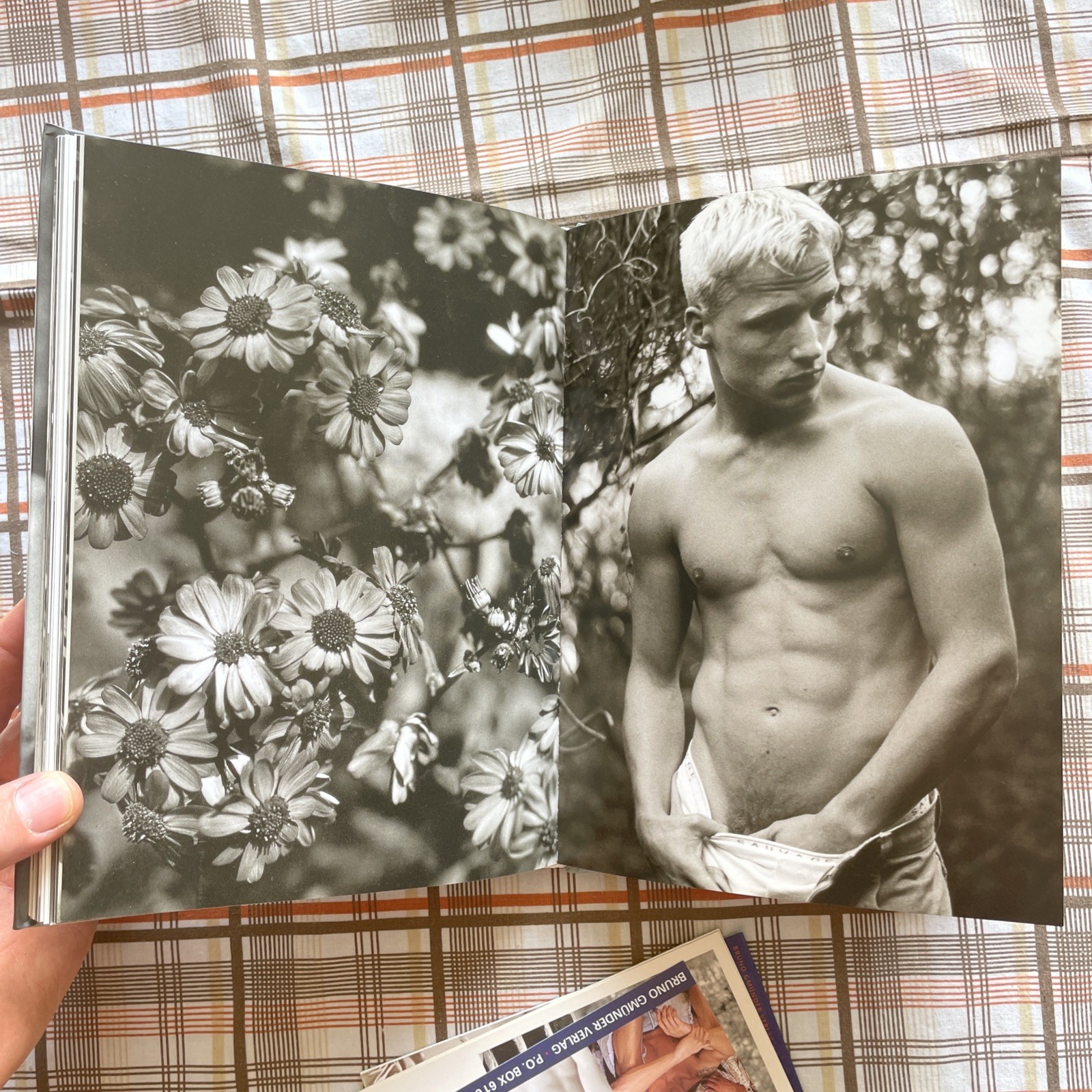 Pictures of Fred by Howard Roffman (1999 HC Gay Male photography Bruno Gmünder)