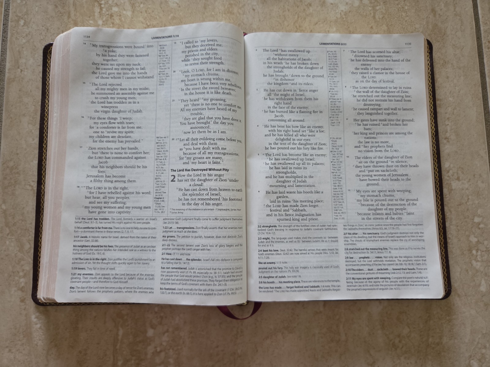 The Reformation Study Bible ESV 2005 Burgundy Genuine Leather Ligonier