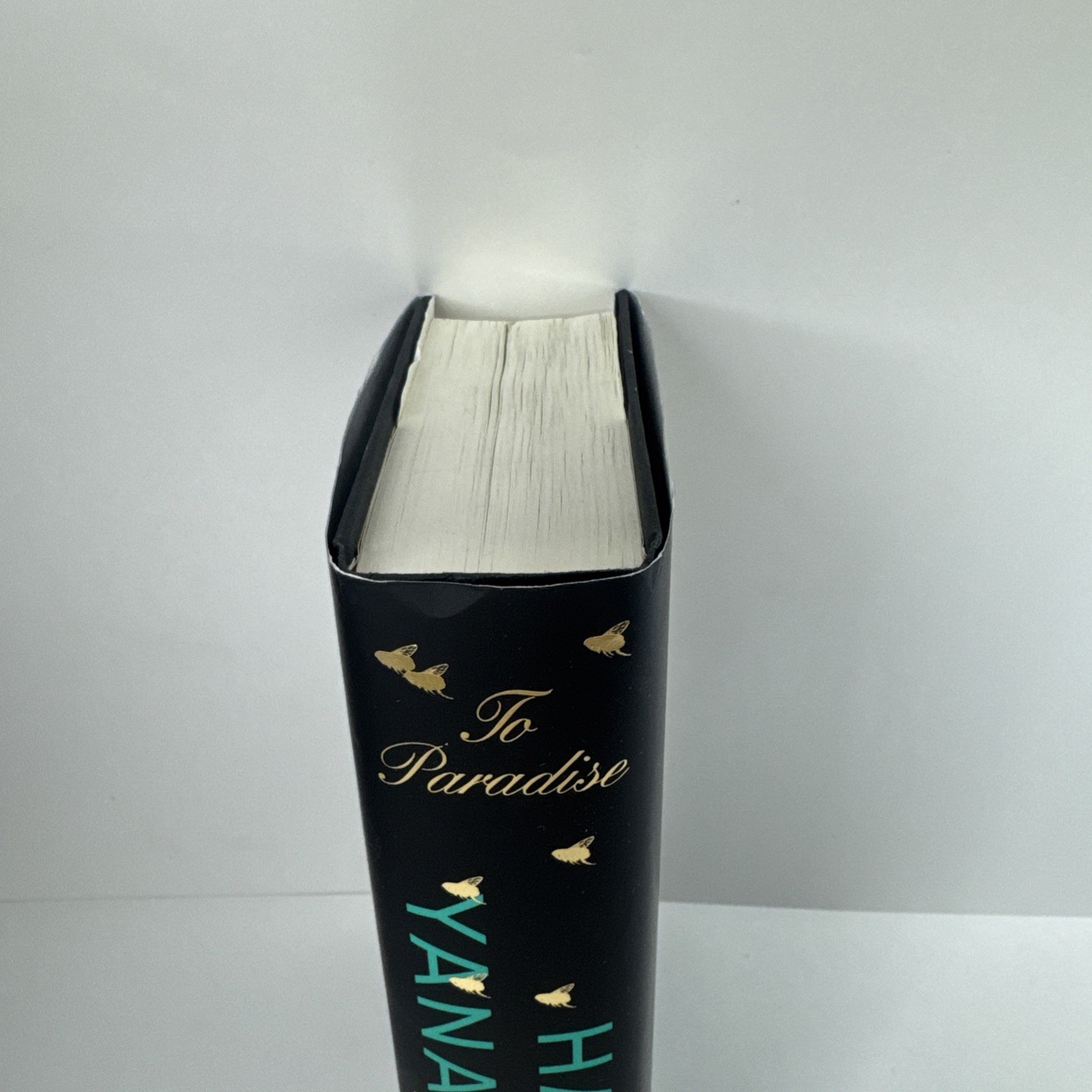 To Paradise Hanya Yanagihara Author Of A Little Life Hardcover First Edition