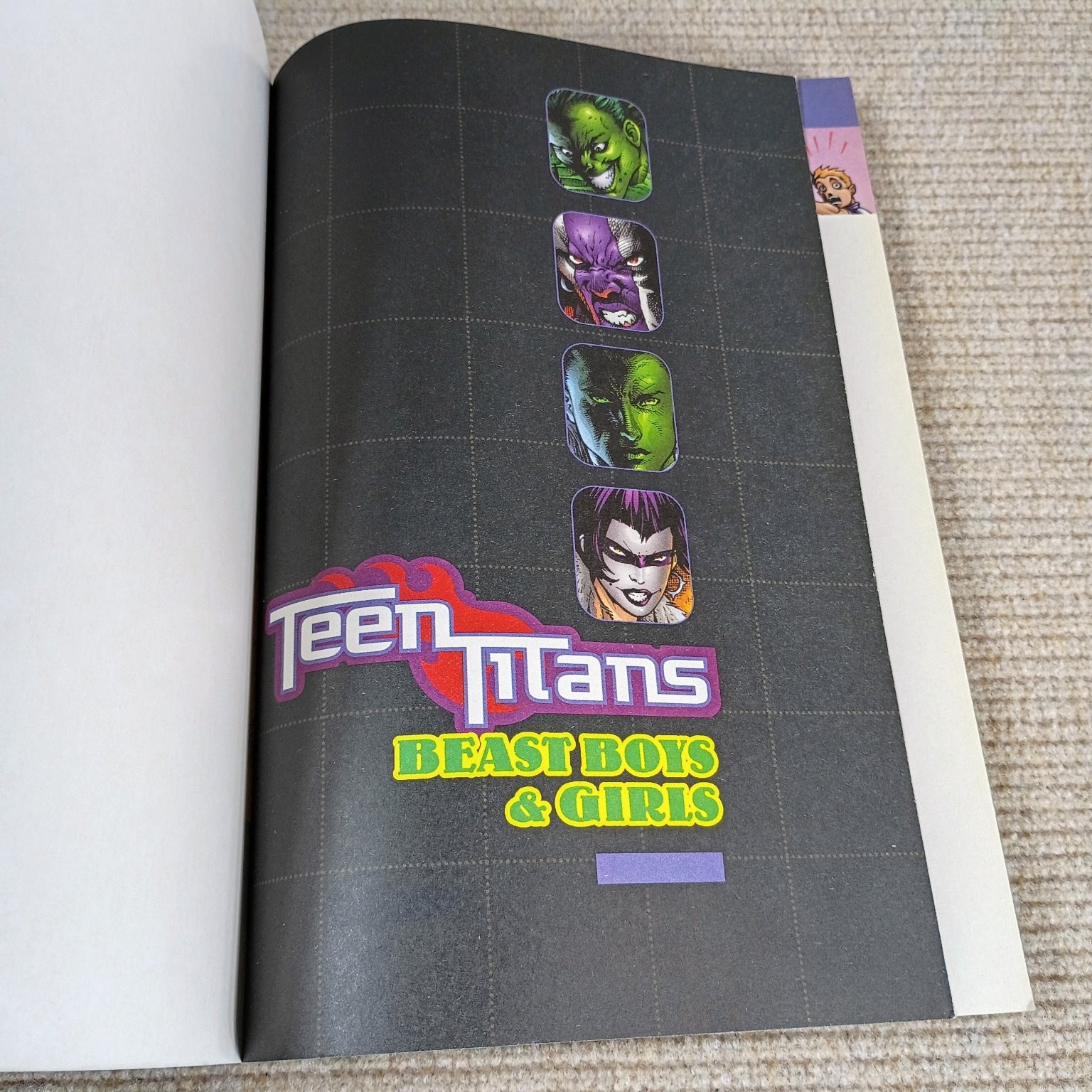 Teen Titans Beast Boys & Girls DC Comics 2005 Vol 3 Graphic Novel Paperback
