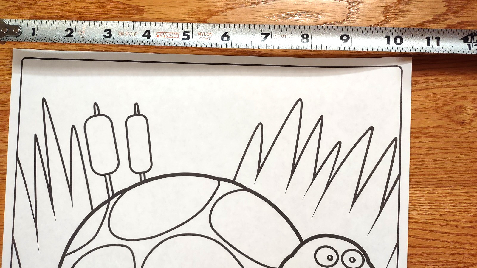 Crayola Giant 20 Coloring Pages Book Animals 10.5 in W X 17 in Long – 18 Pages
