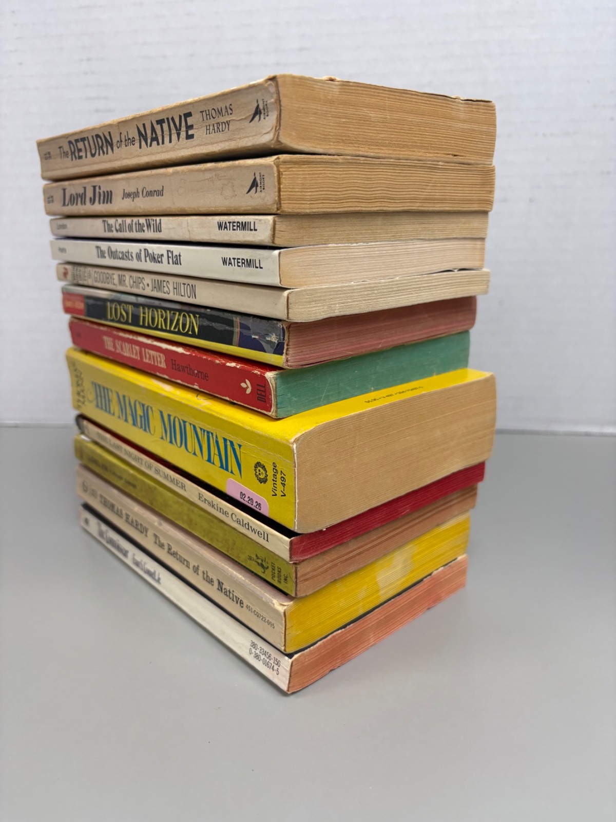 Classic Novels Lot of 12 Paperbacks (See Photos for Titles)
