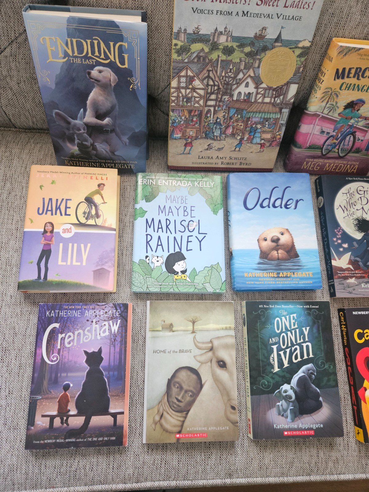 Award Winning Middle Grade School Books 8 HC, 7 PB (See Description Below)
