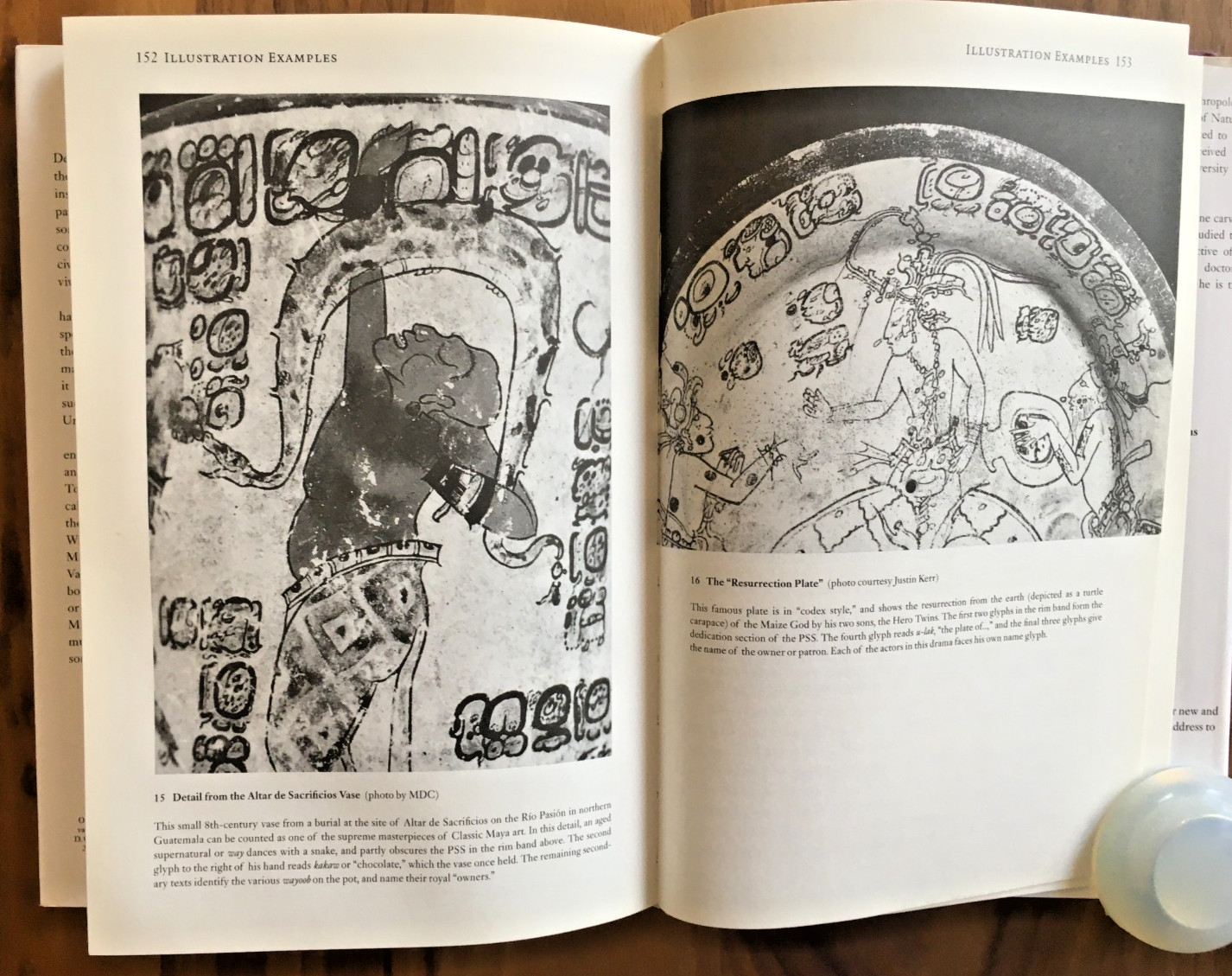 Reading the Maya Glyphs ~ Michael Coe & Mark Van Stone ~ 2001 – HC DJ 1st Ed.!