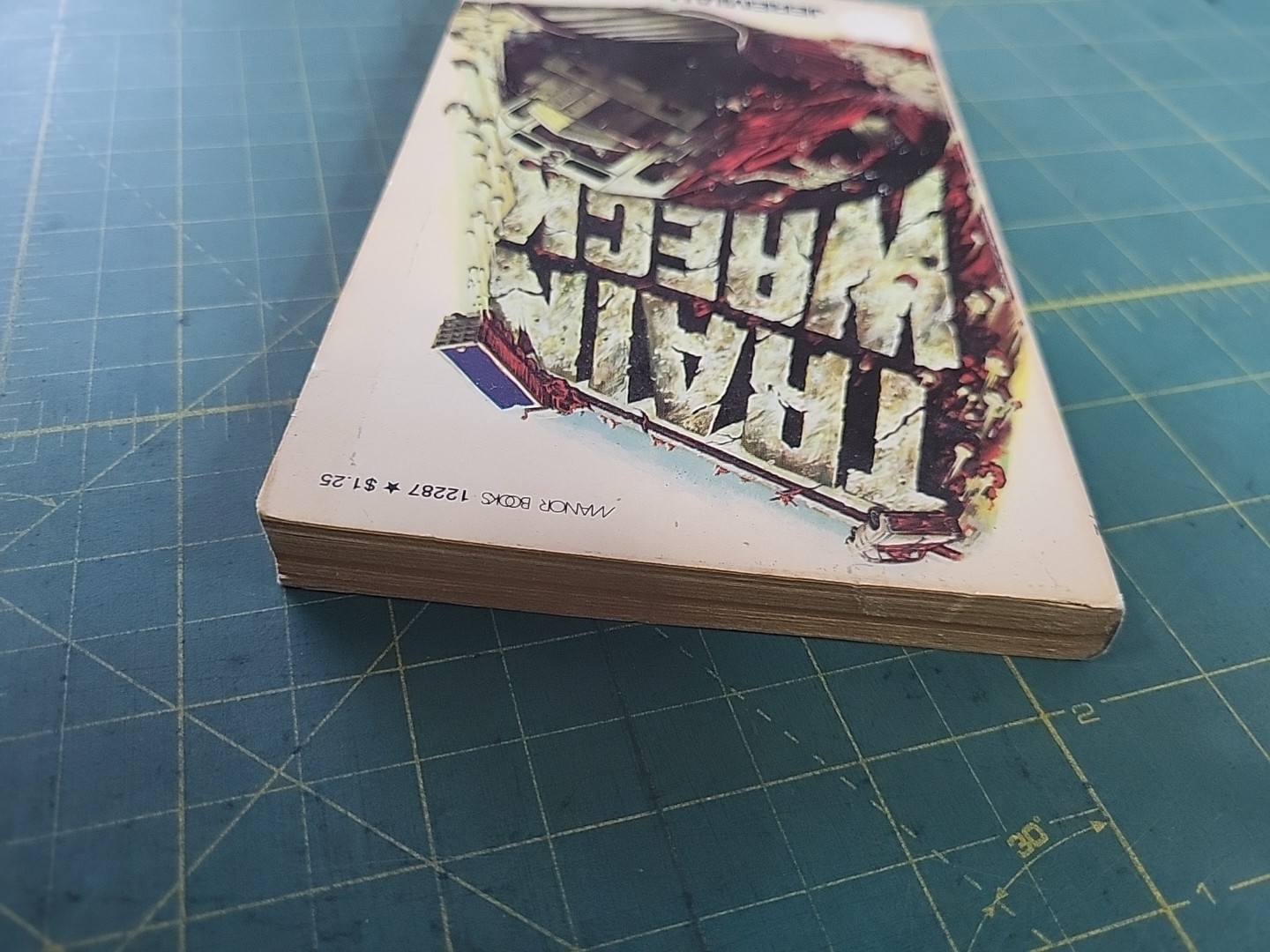 Train Wreck by Jeremiah Jack Manor Books Inc.