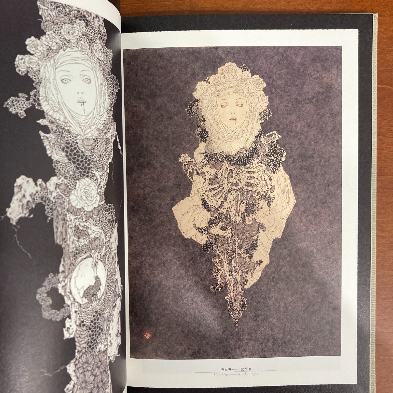 Takato Yamamoto Rib of a Hermaphrodite Art Book Illustration