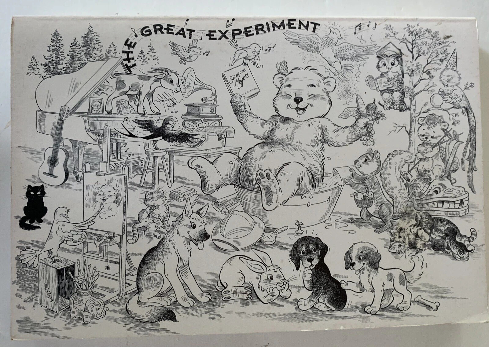 Search for the Ageless: The Great Experiment Vol 2 -Edmond Szekely- 1991 – VGC