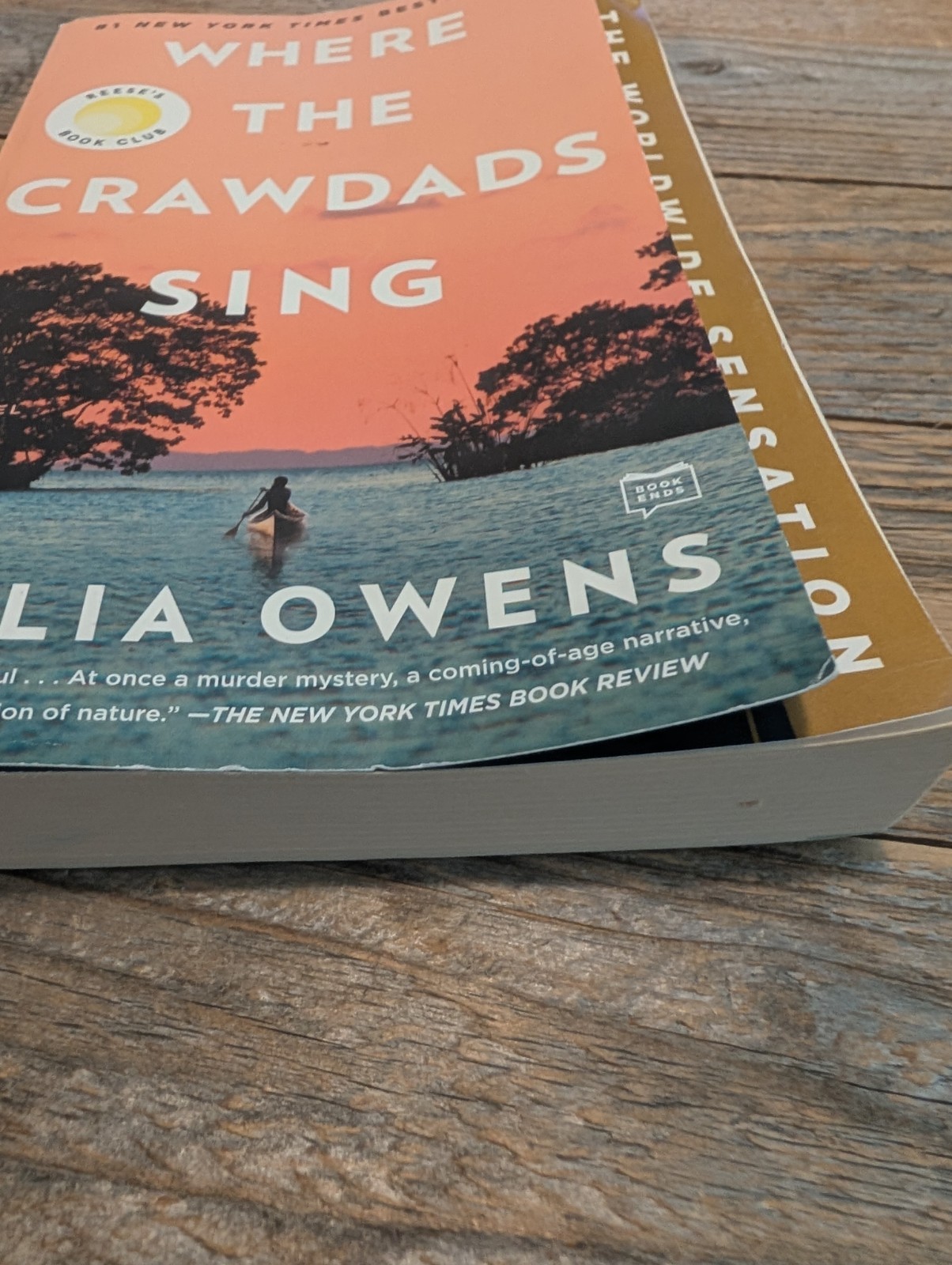 Where the Crawdads Sing: Reese’s Book Club by Delia Owens (2021, Trade…