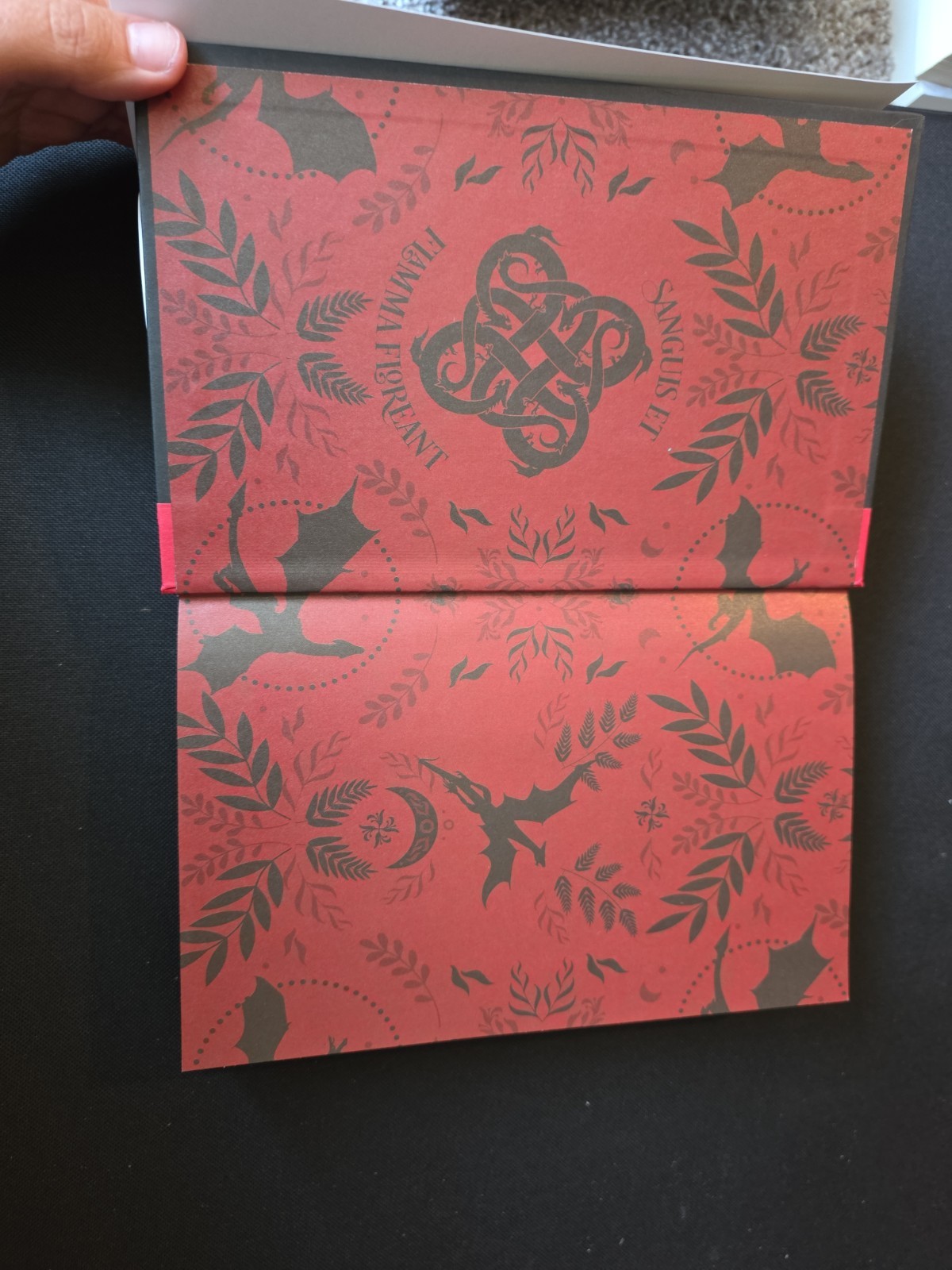 On Wings of Blood Deluxe Limited Edition : A Novel by Briar Boleyn 2025