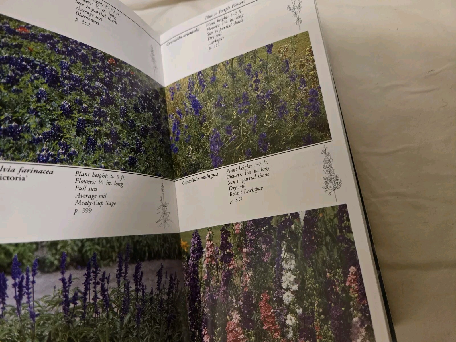 Taylor’s Guides to Gardening: Annuals, Bulbs,Perennials First Editions Softcover