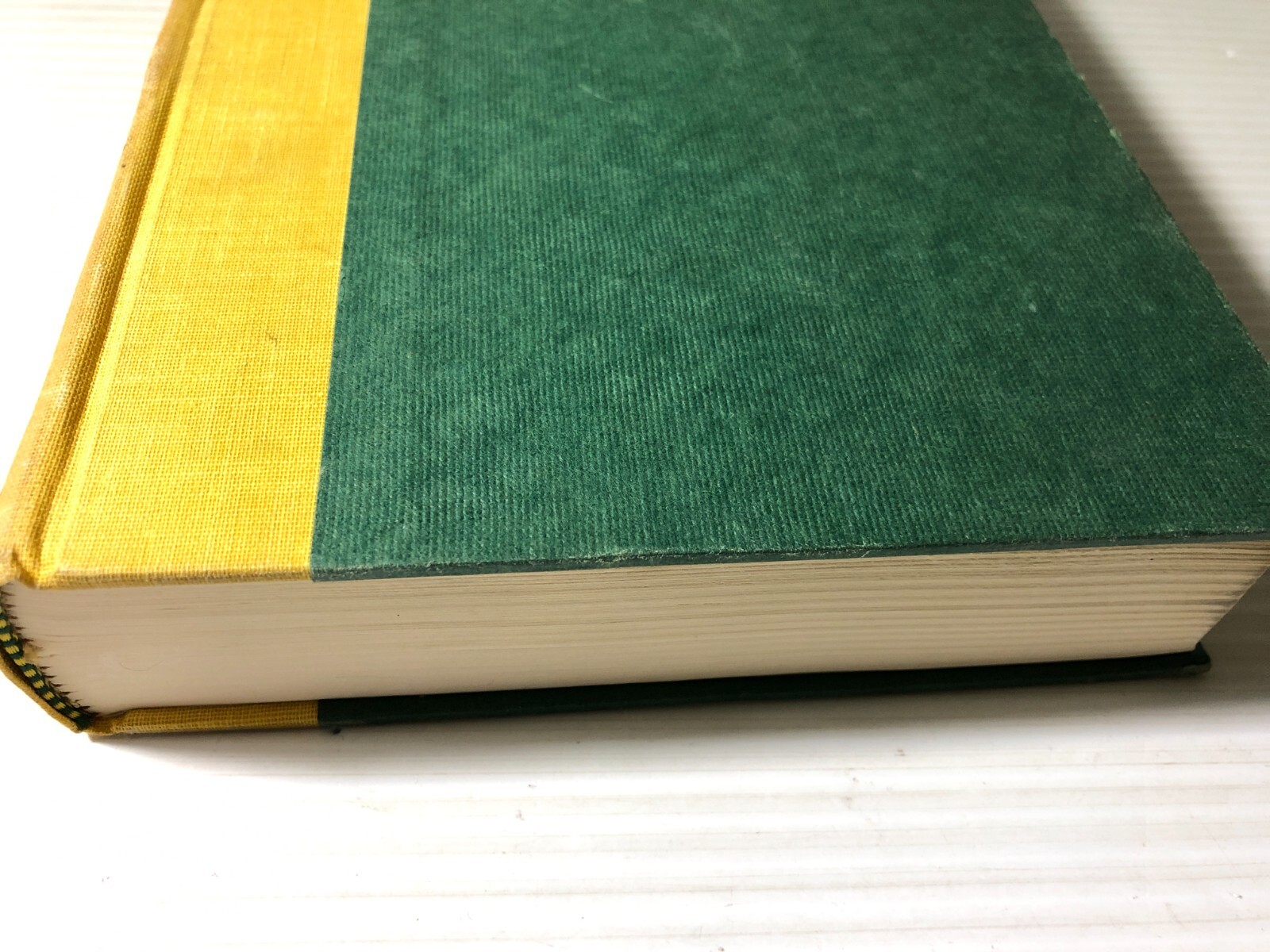 b Jean M Auel THE CLAN of the CAVE BEAR 1980 Crown 1st Edition No Dust Jacket