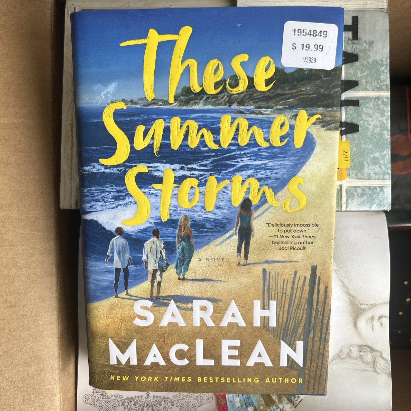 These Summer Storms: A Novel – hardcover MacLean, Sarah