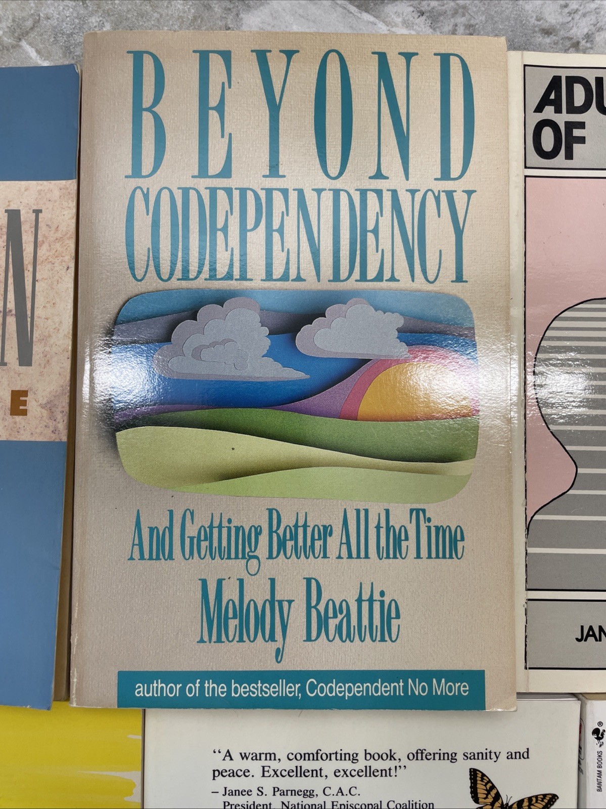 6 Books on Addiction Alcoholism Getting Sober PBK Beyond Codependency