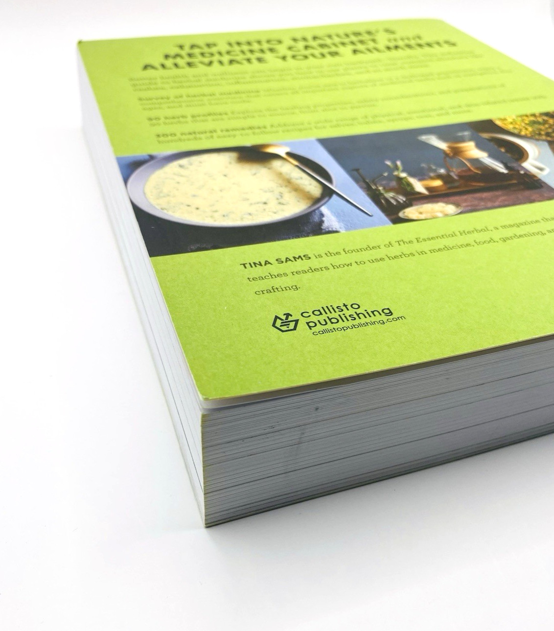 The Big Book of Herbal Medicine 300 Natural Remedies for Health and Wellness