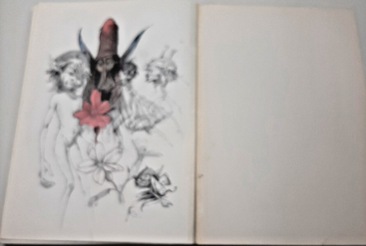 Vintage Faeries Book 1978 First Edition Printing Brian Froud Mythical Fairy Art