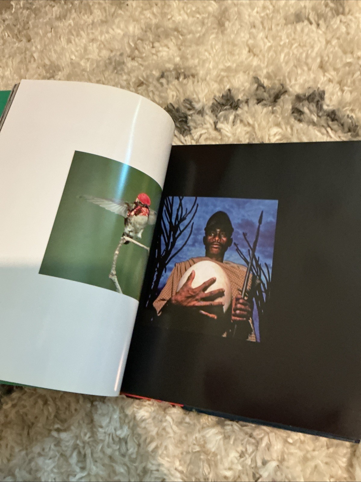 La Avery El Hombre Vinculos A Traverse Del Tiempo The Wild Foundation H/C Book