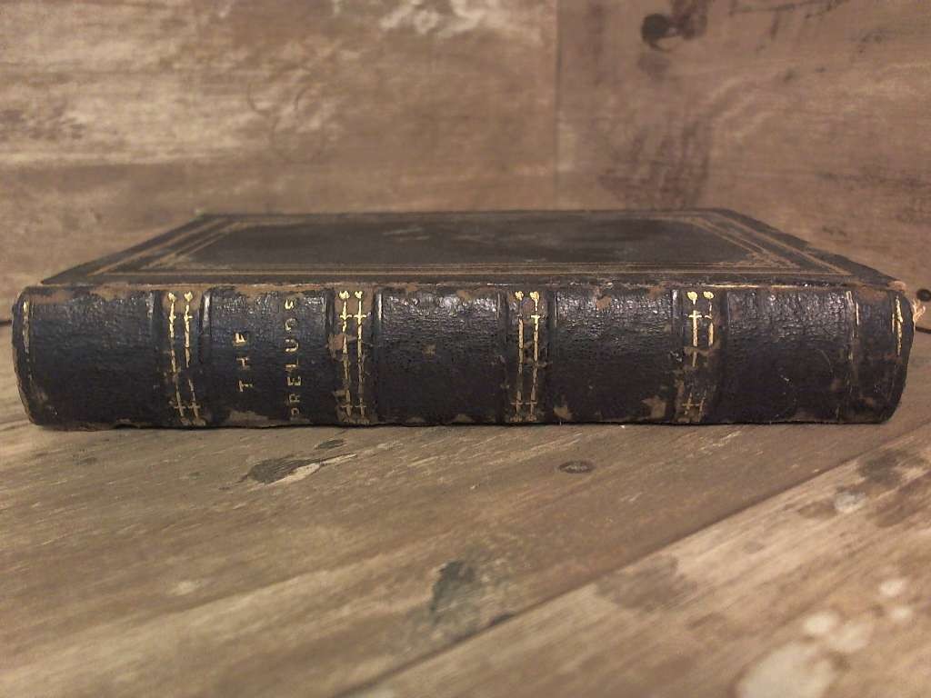 The Prelude, or Growth of a Poet’s Mind 1850 by William Wordsworth D. Appleton &
