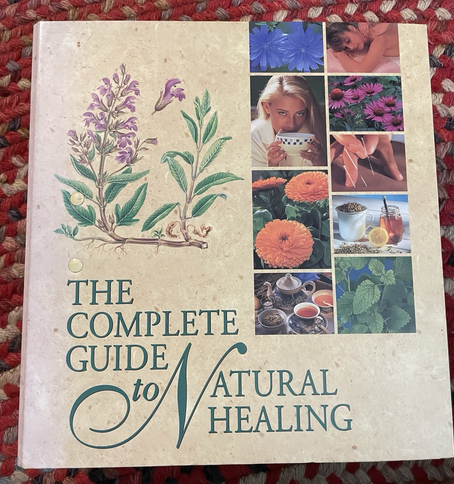 The Complete Guide to Natural Healing 1 Binder Sections 1-13 300+ Cards – USED