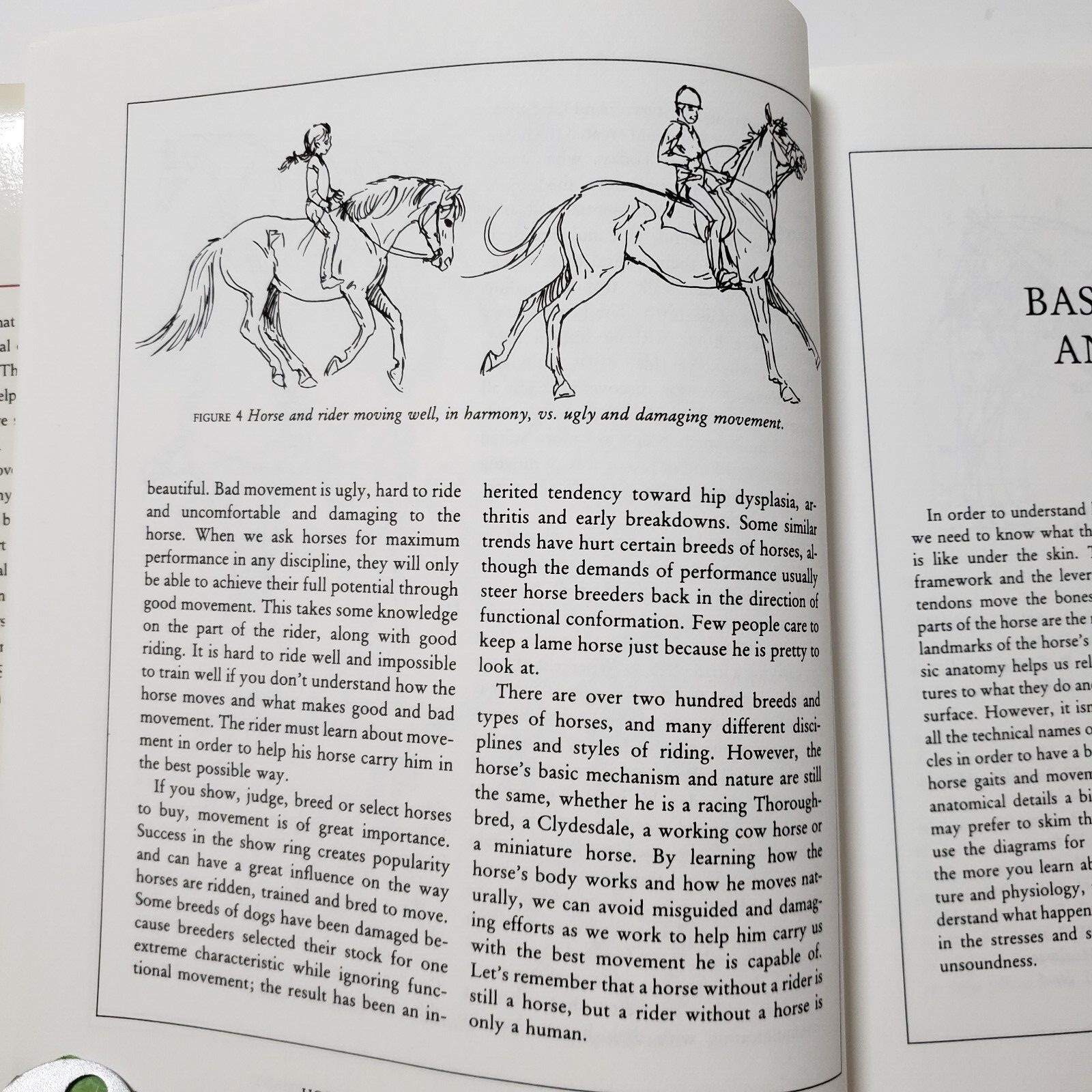 Horse Gaits, Balance and Movement by Susan E. Harris 1993 HC DJ