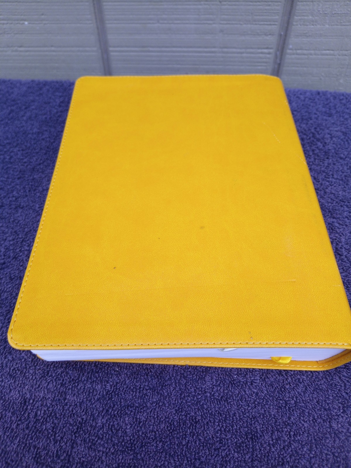 CBS Christian Standard Lifeway Women’s Bible Marigold LeatherTouch READ DESCRIPT