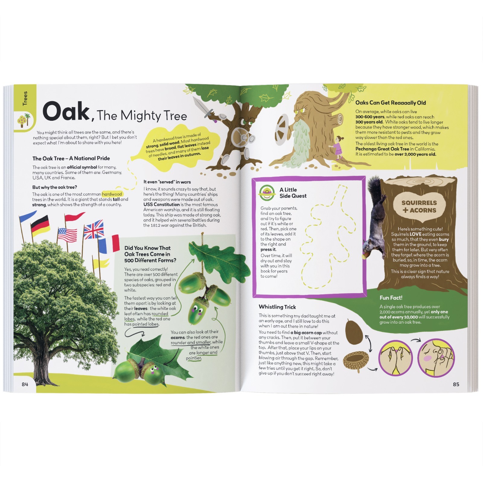 My First Plant Book