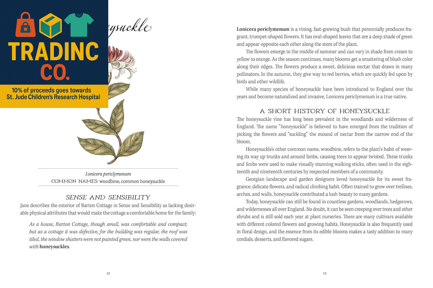 Jane Austen’s Garden: A Botanical Exploration of Her Classic Novels