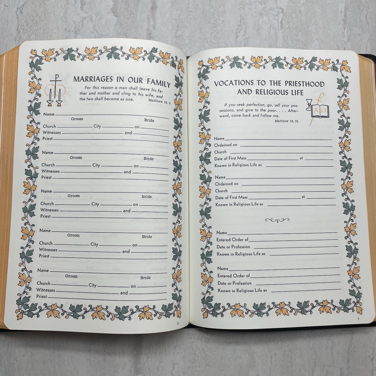 New American Bible Saint Joseph Edition 611/10B – Catholic