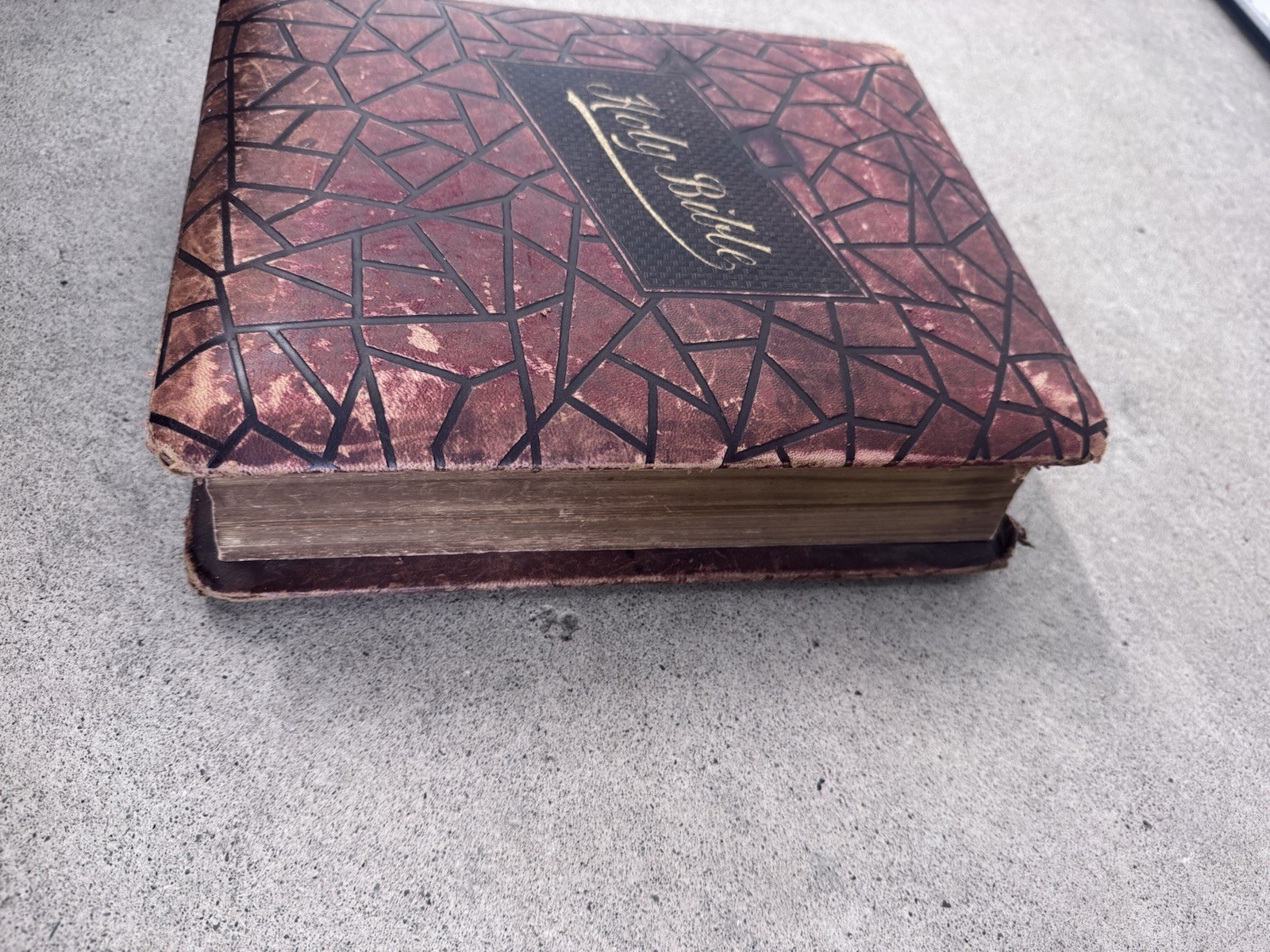 1800s Vintage Book Holy Bible Altemus Antique Leather Original