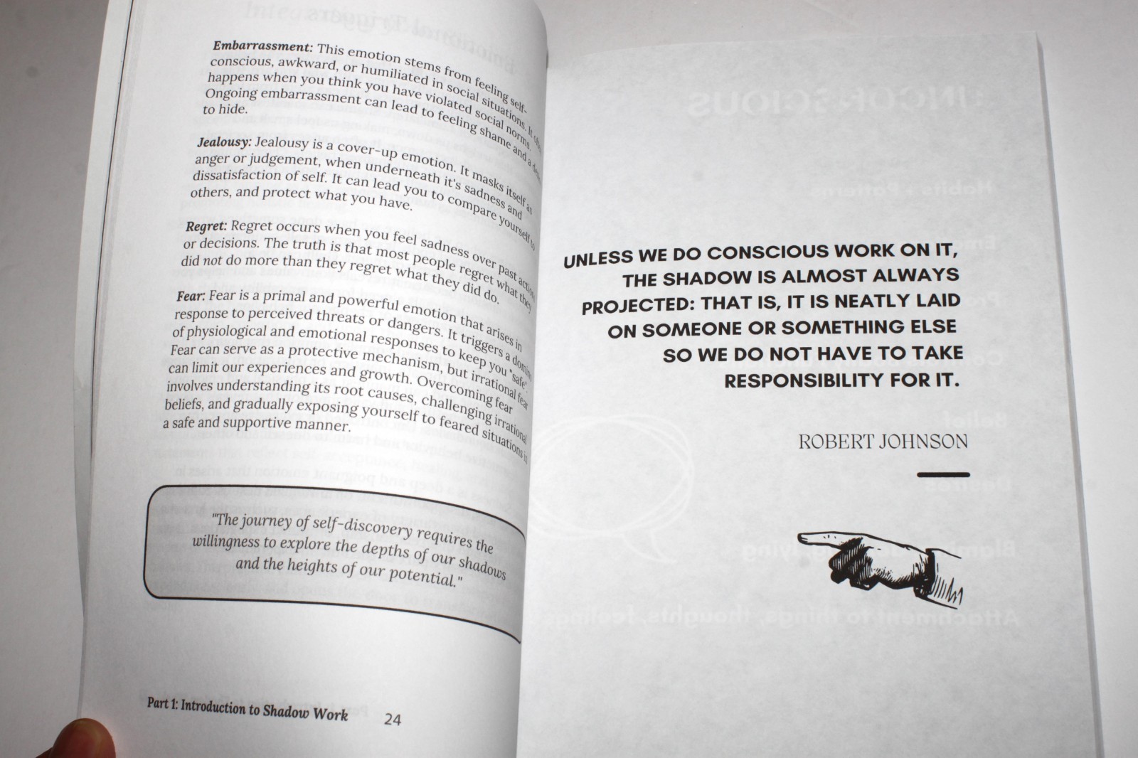 The Shadow Work Journal : a Guide to Integrate & Transcend Your Shadows (2023)