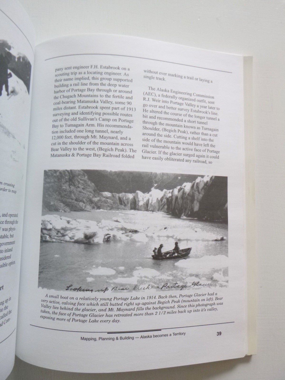 The Strangest Town in Alaska by Alan Taylor (paperback, 2000)