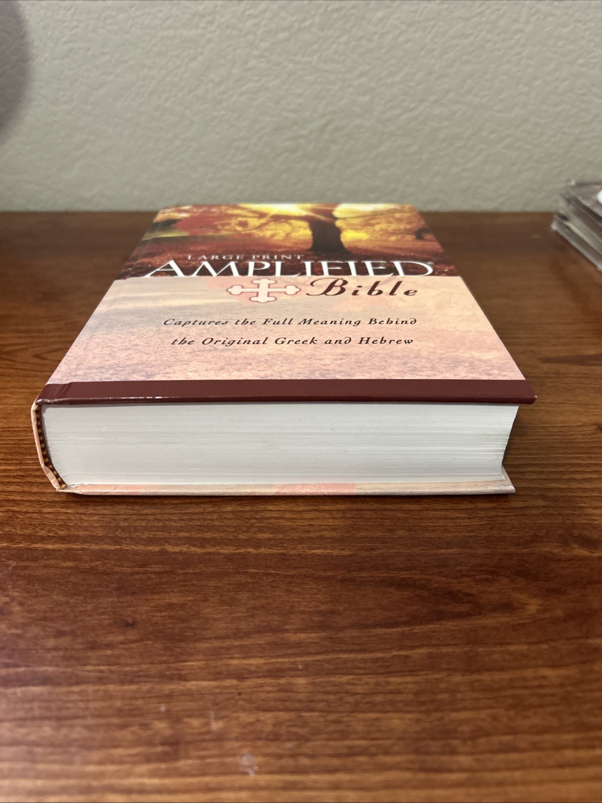 Amplified Bible by Zondervan (1987, HC, Large Type / large print edition)