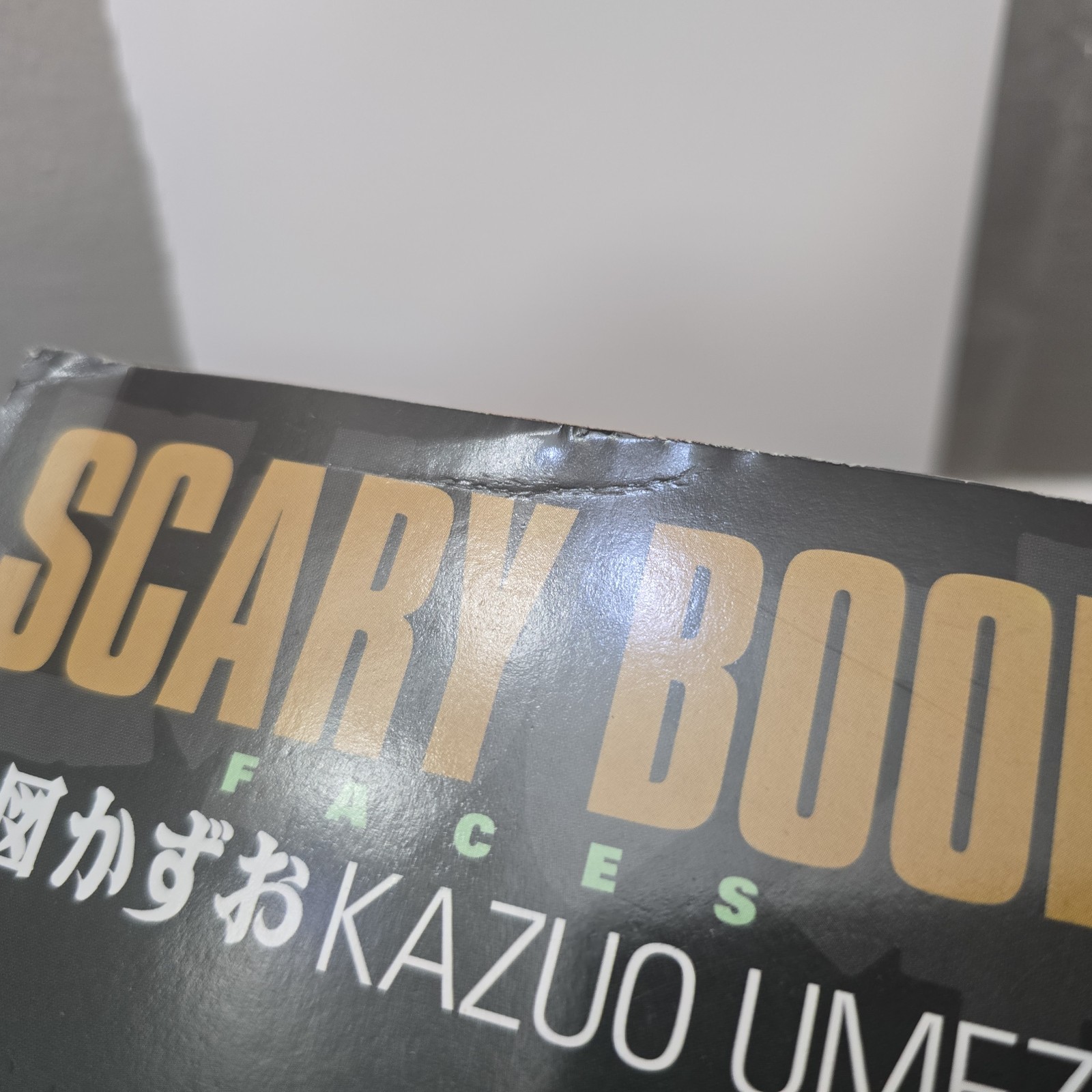 Scary Book Volume 3: Faces by Umezu, Kazuo Paperback / softback Book The Fast