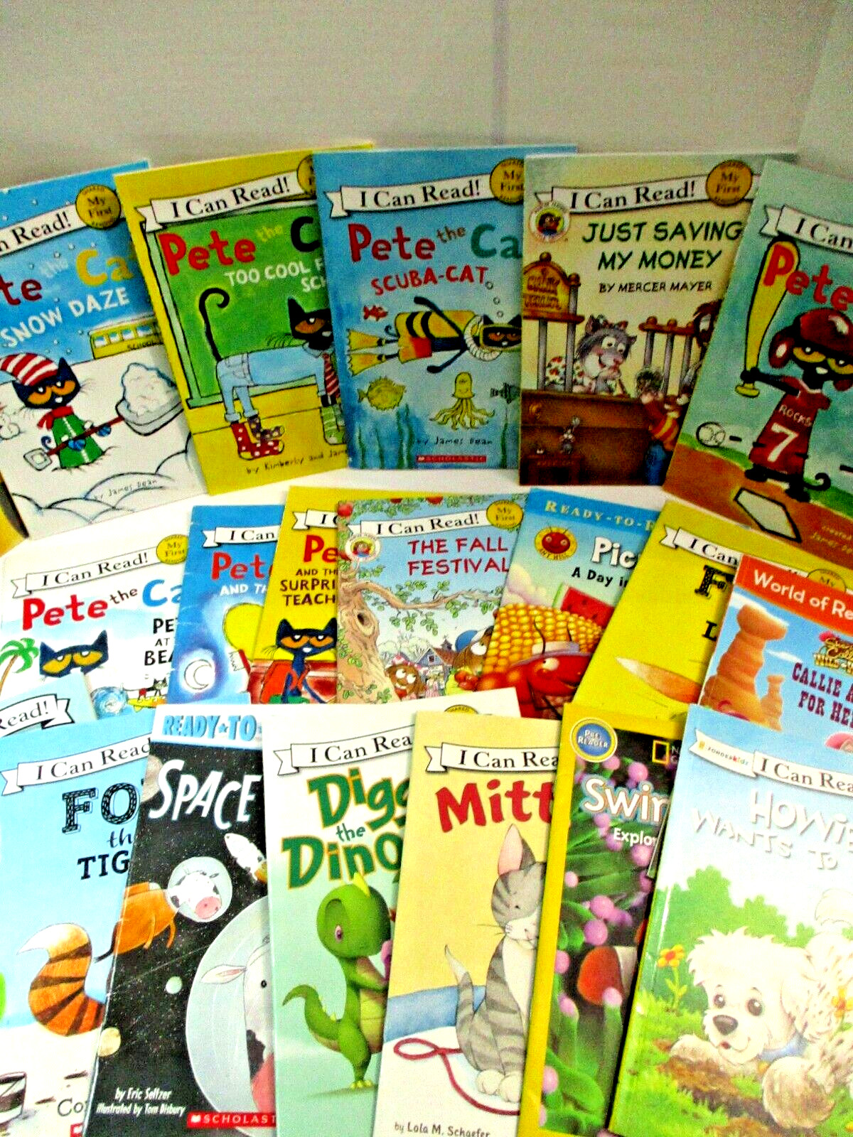 Lot of 20 Pre-Level / Level My First Shared Reading Paperback Books – Readers