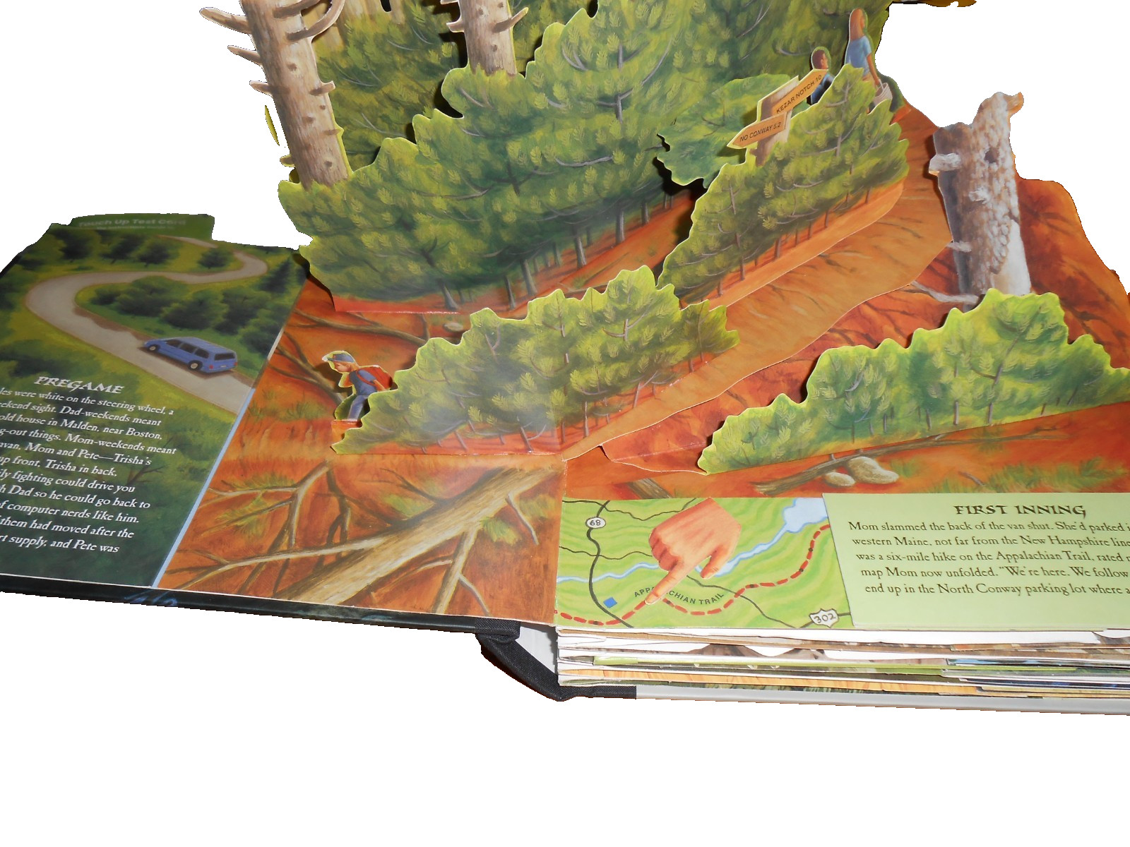 Stephen King THE GIRL WHO LOVED TOM GORDON: A Pop-up Book – HC VGC
