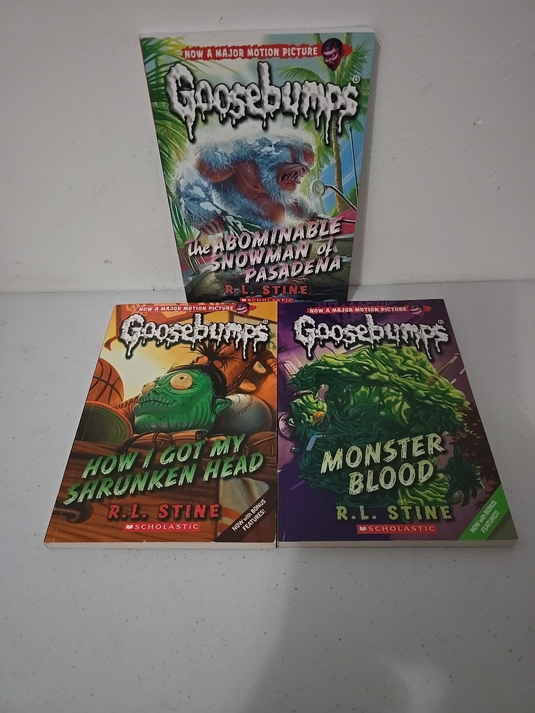 R.L. Stine Book Lot Of 24- Fear Street, Twisted, Rotten School, Goosebumps,