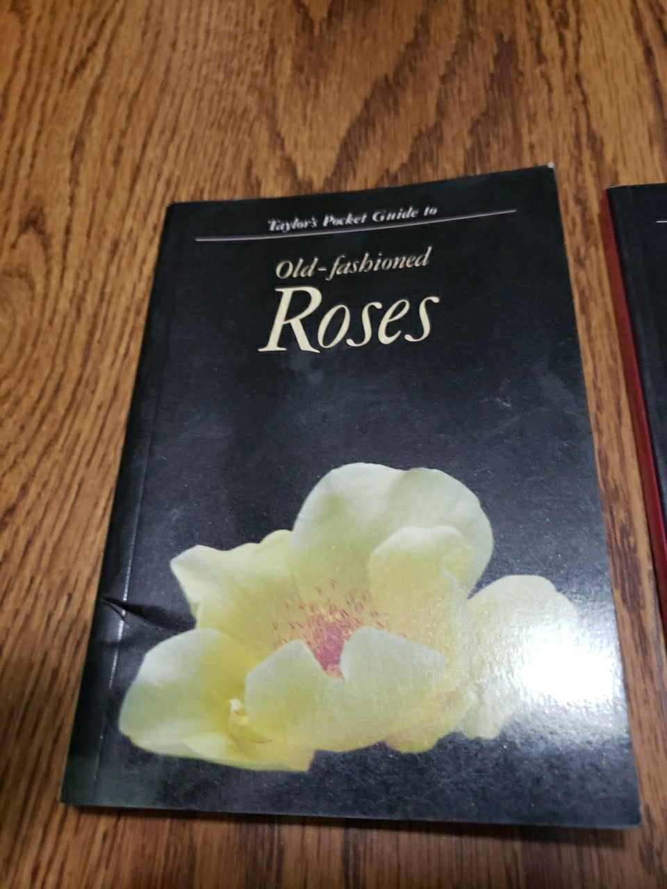 Taylor’s Pocket Guides to Old-Fashioned Roses & Bulbs for Summer 1989 Paperbacks
