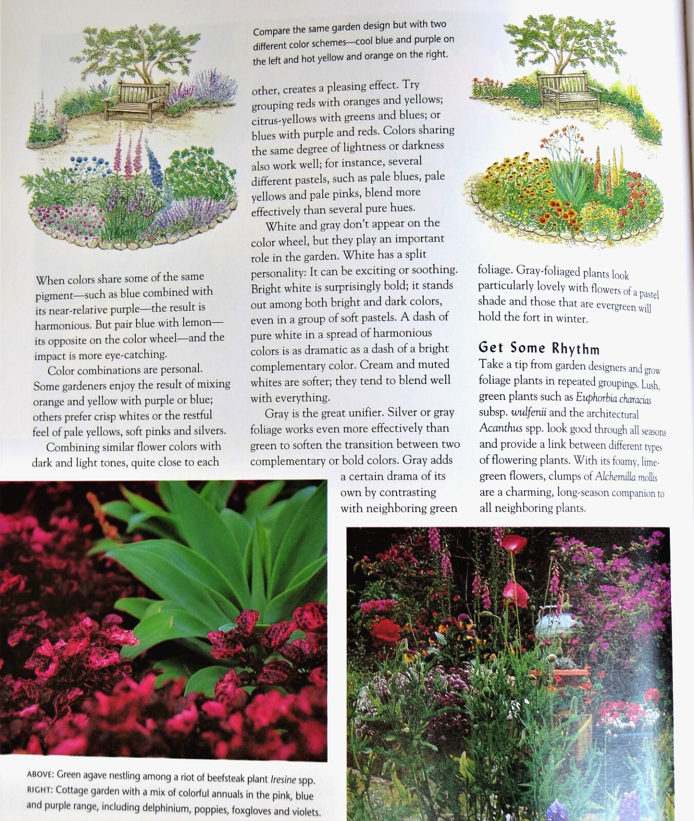 Essential Gardening Encyclopedia – Fog City Press – 608 Pages Full Color