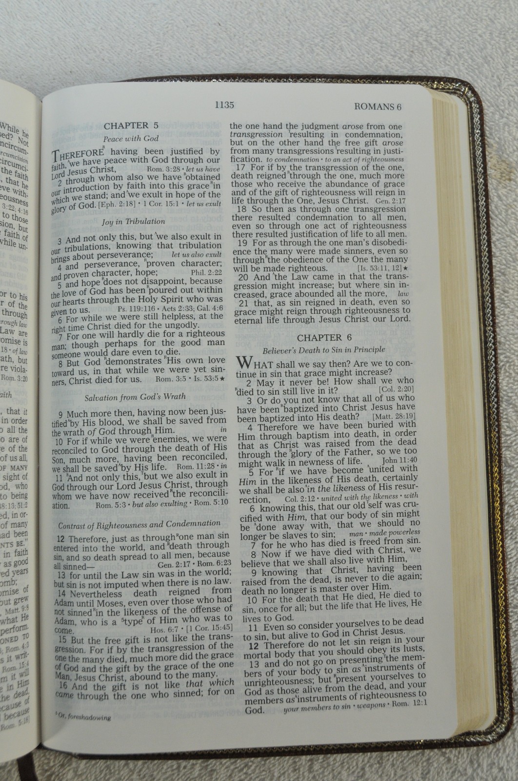 The Open Bible Expanded Edition NASB Brown Genuine Leather RL 1985 Nelson 976BR