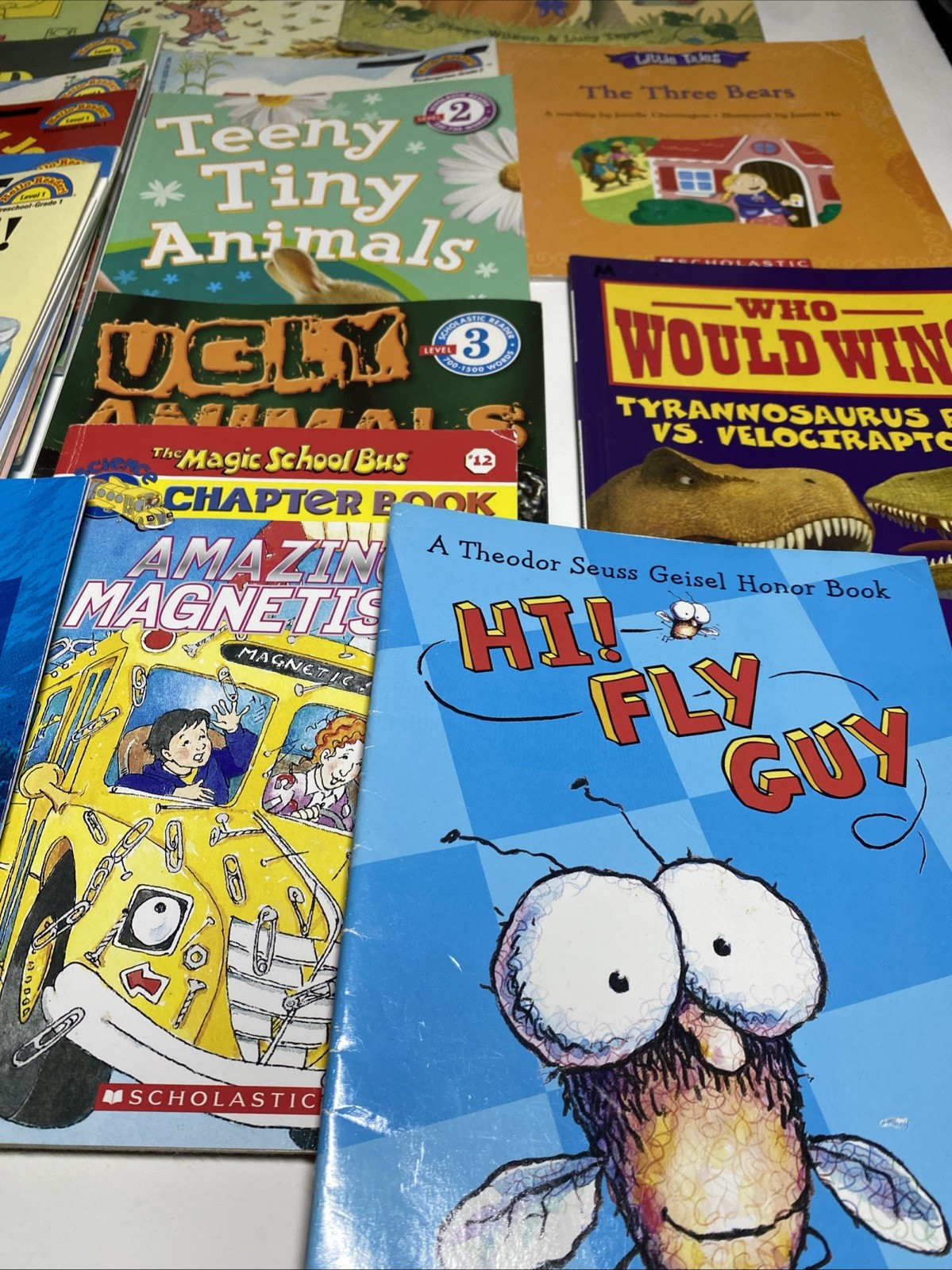 HUGE CHILDRENS BOOK LOT Of 16 Miscellaneous Scholastic Reader