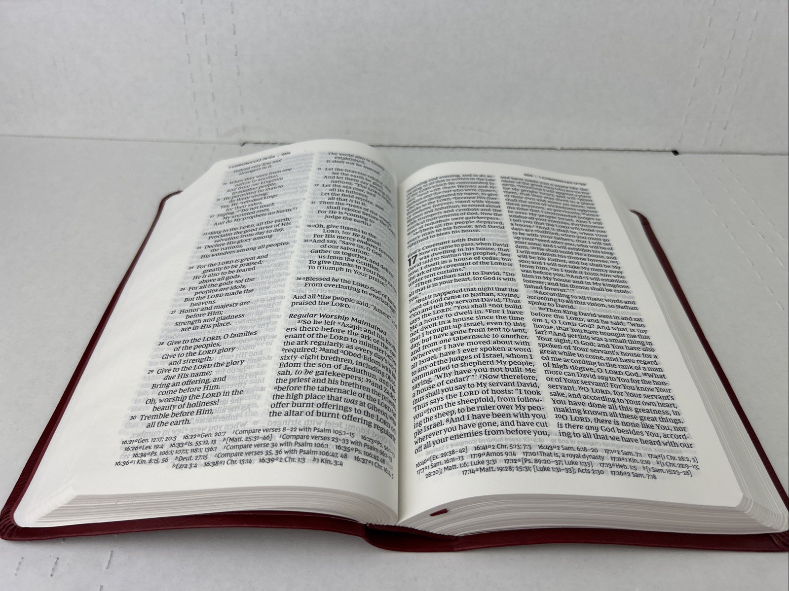 NKJV Holy Bible New King James Version Red Leather-Soft GIANT PRINT Reference